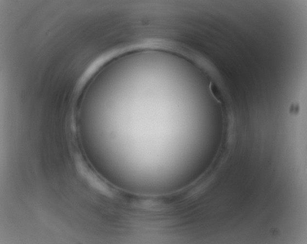 X0000114671280200910211000