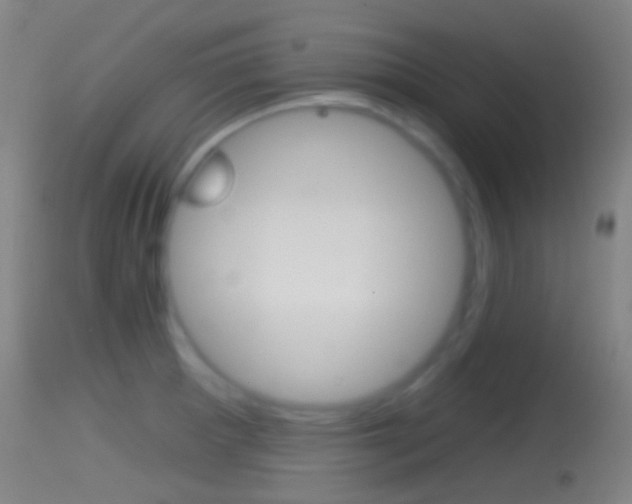 X0000114671281200910211000