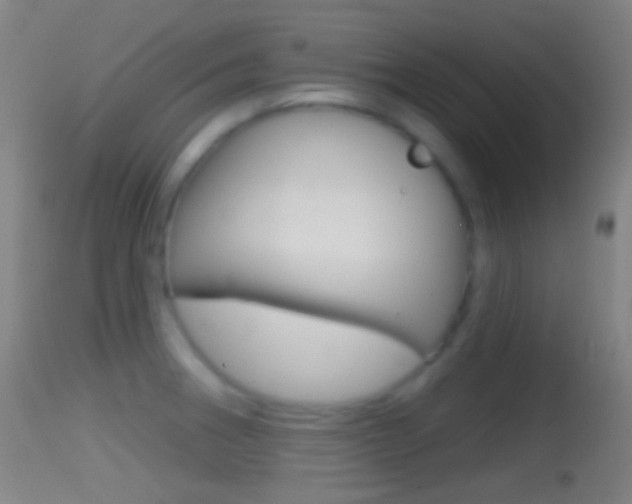 X0000114671282200910211000