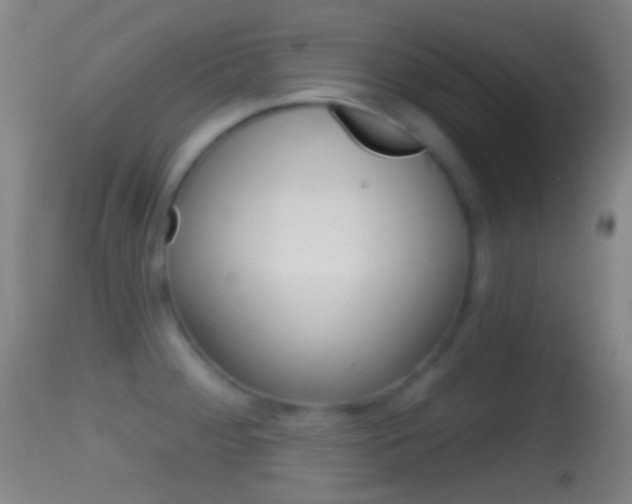X0000114671284200910211000