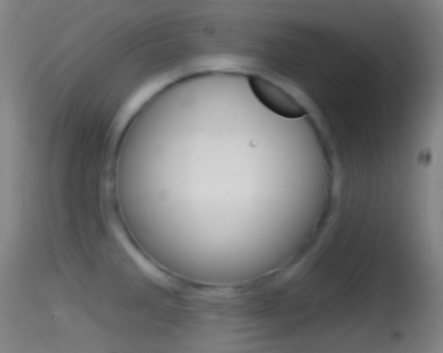 X0000114671285200910211000