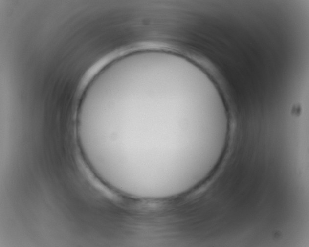 X0000114671286200910211000