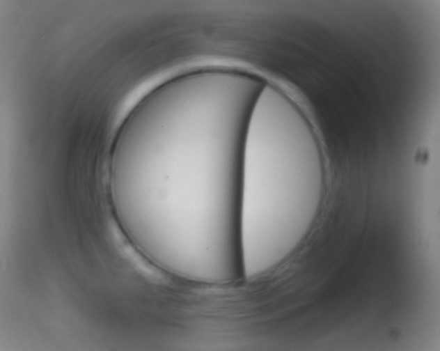 X0000114671287200910211000