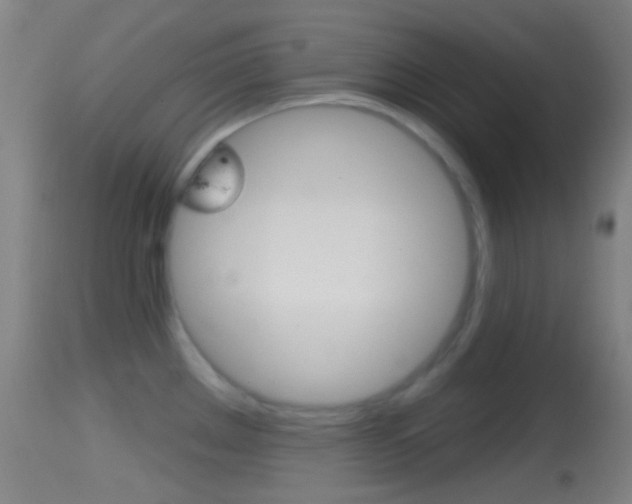 X0000114671289200910211000