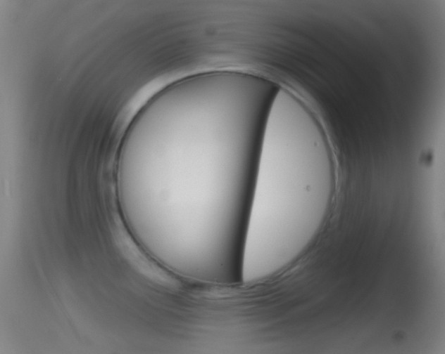 X0000114671291200910211000