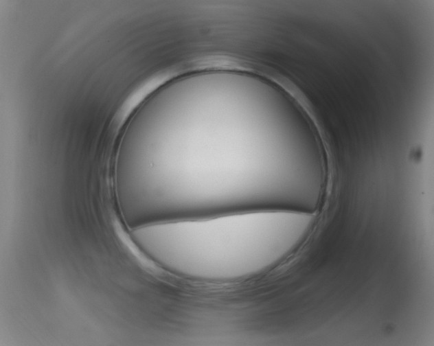 X0000114671293200910211000