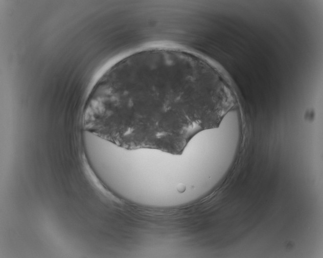 X0000114671295200910211000