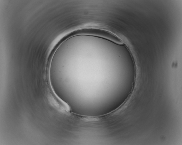 X0000114671296200910211000