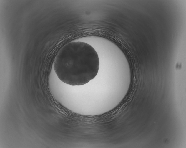 X0000114671297200910210959