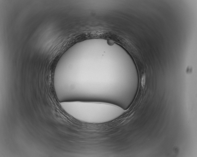 X0000114671299200910210959