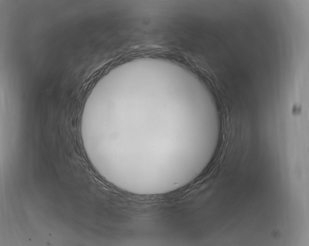 X0000114671301200910210959