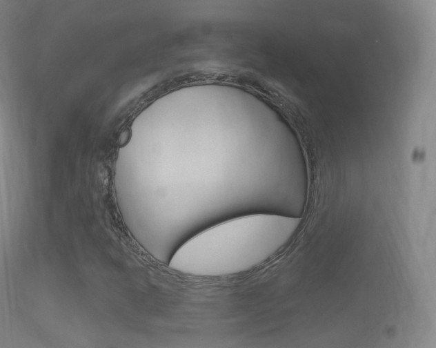 X0000114671302200910211000