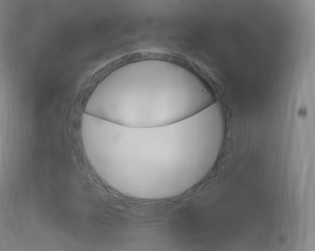 X0000114671303200910211000