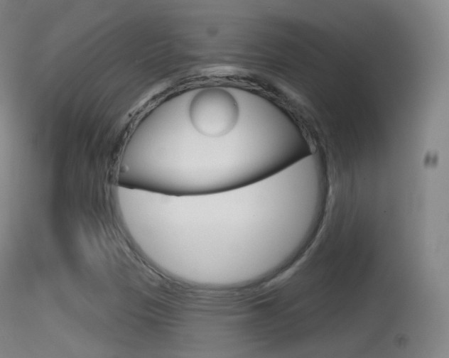 X0000114671305200910211000