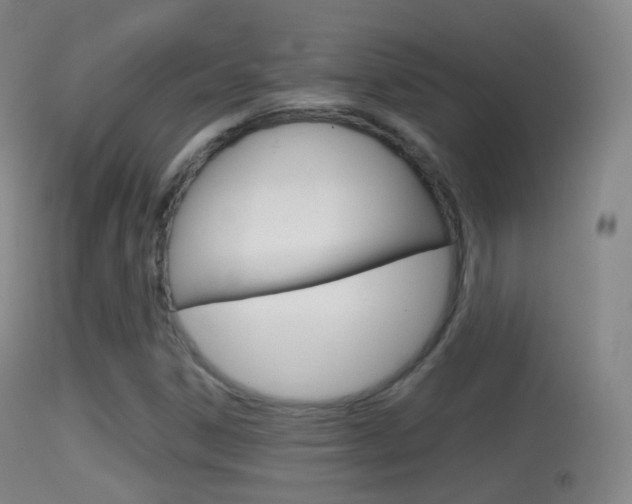 X0000114671306200910211000