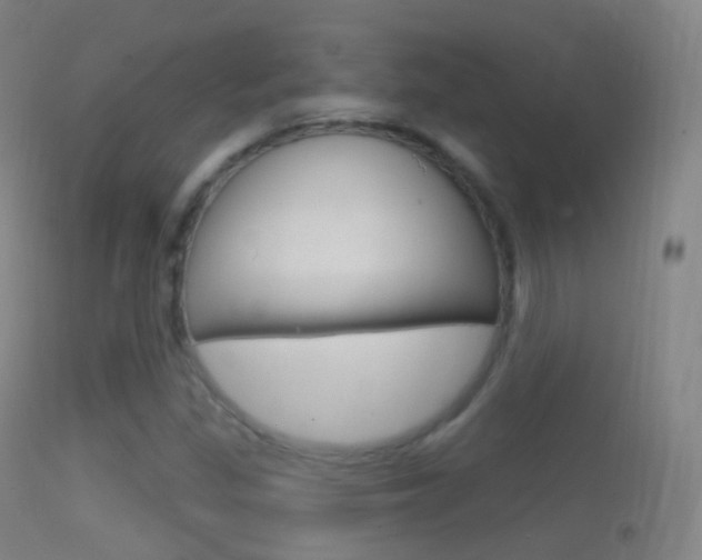 X0000114671309200910211000
