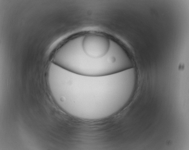 X0000114671311200910211000