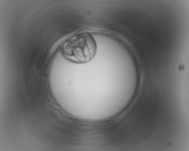 X0000114671314200910211000