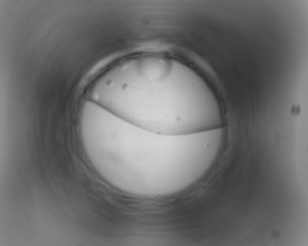 X0000114671315200910211000