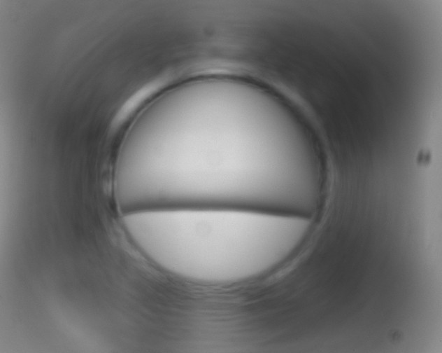 X0000114671317200910211000