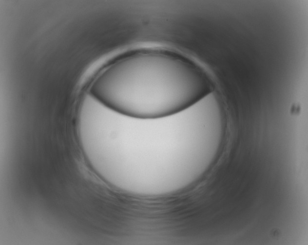 X0000114671319200910211000