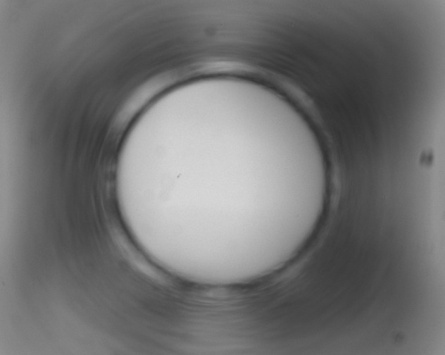 X0000114671322200910211000