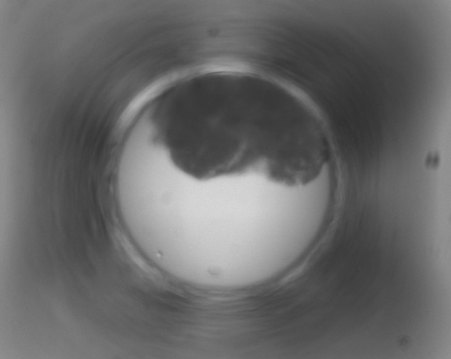 X0000114671325200910211000
