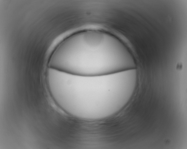 X0000114671327200910211000