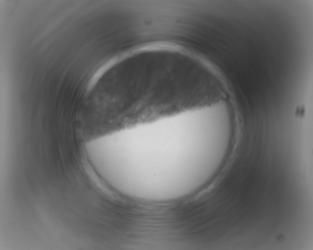 X0000114671329200910211000