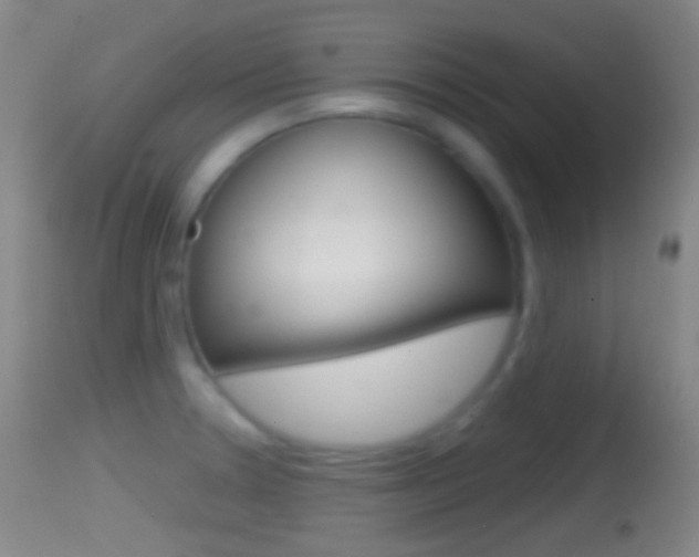 X0000114671330200910211000