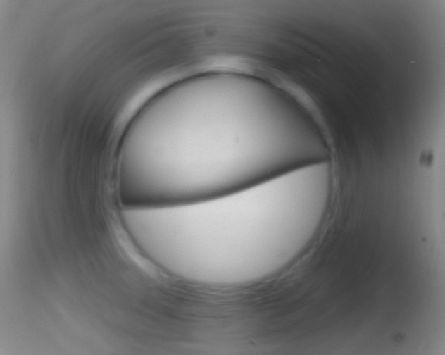 X0000114671331200910211000