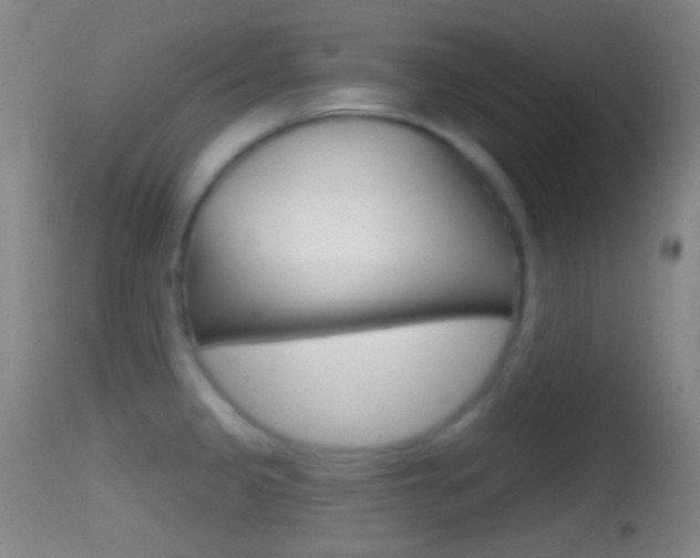 X0000114671333200910211000