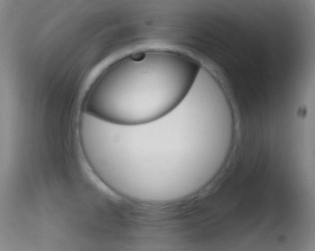 X0000114671334200910211000