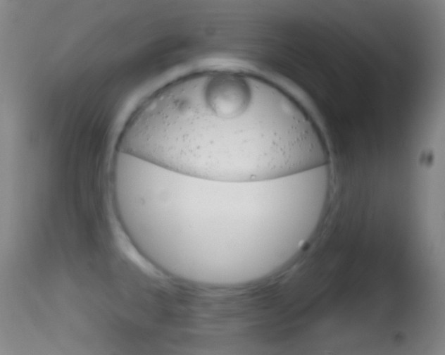 X0000114671335200910211000