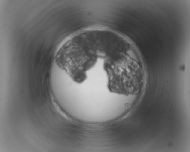 X0000114671337200910211000