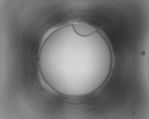 X0000114671338200910211000