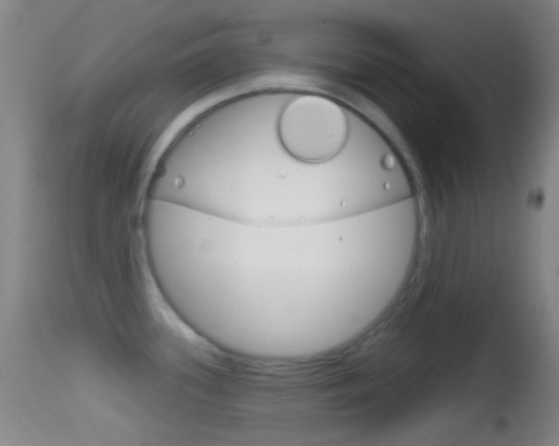 X0000114671339200910211000