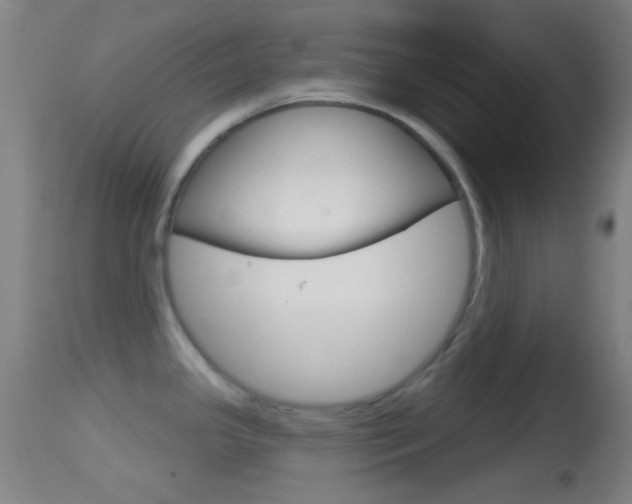 X0000114671341200910211000