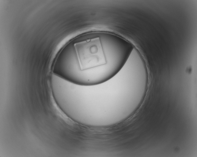 X0000114671342200910211000
