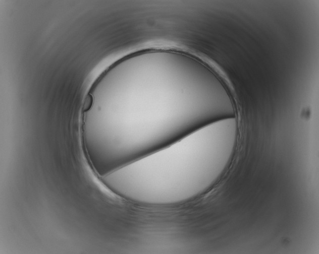 X0000114671343200910211000