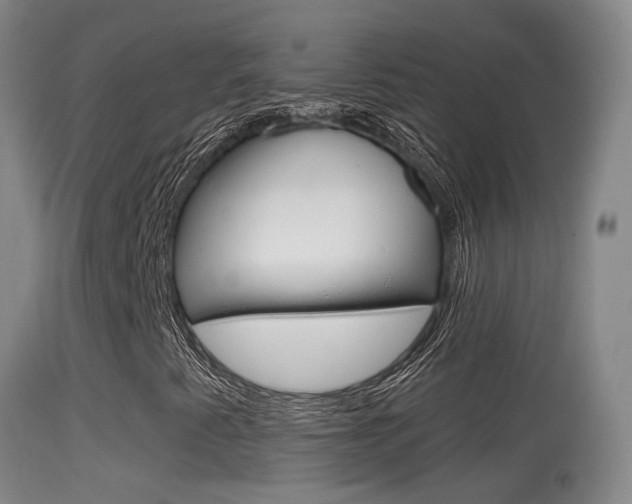 X0000114671345200910210959
