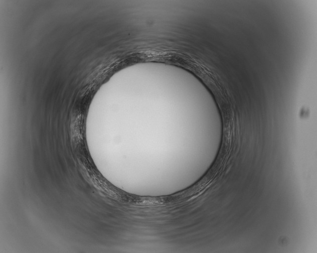 X0000114671346200910210959
