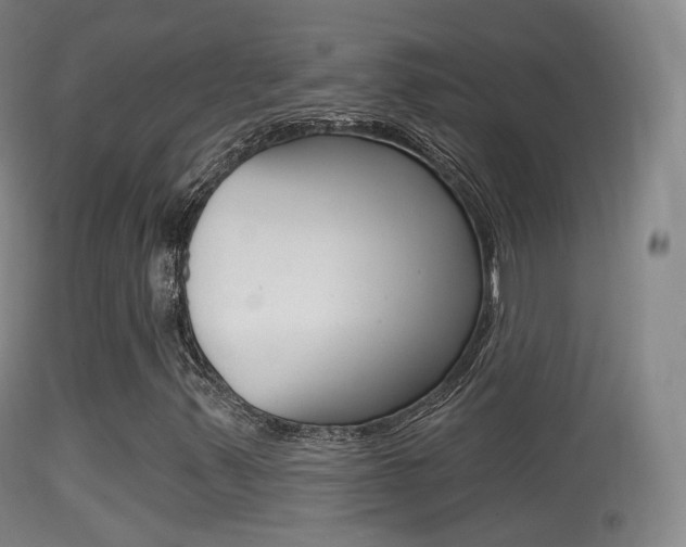 X0000114671347200910210959
