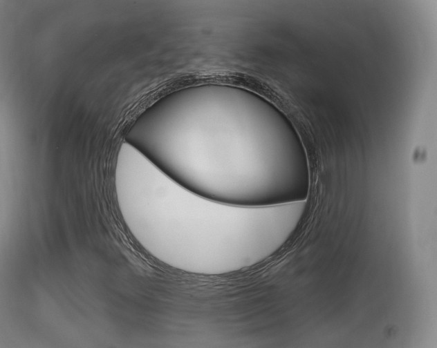 X0000114671348200910210959
