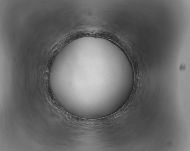 X0000114671349200910210959