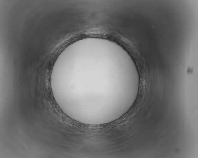 X0000114671350200910210959