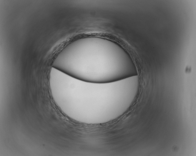 X0000114671351200910210959
