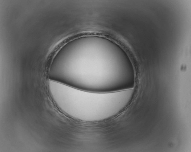 X0000114671352200910210959