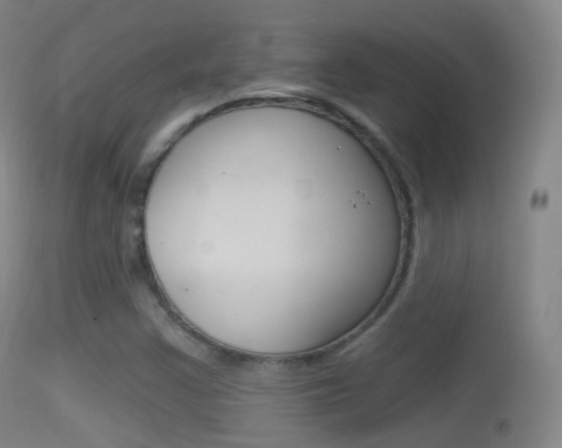 X0000114671355200910210959