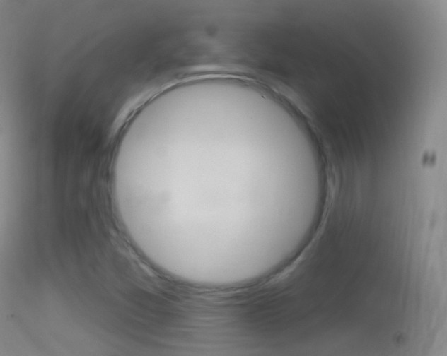 X0000114671357200910210959